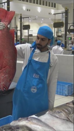 Арабские Эмираты. Рыбный рынок в Шардже