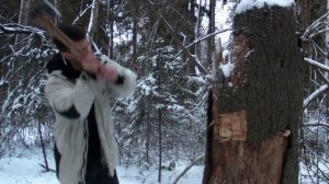Подруб снизу или "ликбез для чайников" (как правильно рубить дерево)