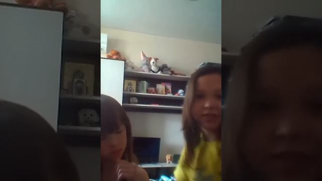 Как правильно держать ящериц и как приручить