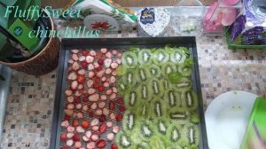 Сушим ШИНШИЛЛАМ киви и клубнику :3