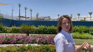 Sunrise Diamond Beach Resort 5* (Египет, Шарм-Эль-Шейх) - Обзор отеля 2022: Анимационная программа