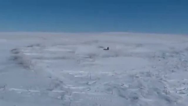 Учёные поймали манула.