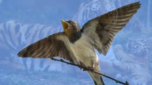 Давайте сохраним!