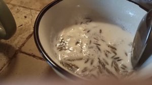 ВАРЮ ОВЁС НЕ ОЧИЩЕННЫЙ