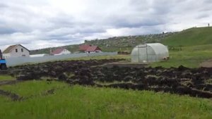 Вспашка целины + фрезерование участка. Подготовка земли под посадку чеснока.