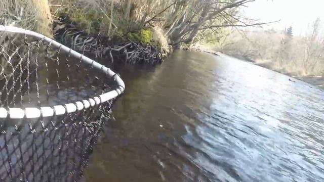 Ловля форели - Первый тёплый день весны смотреть онлайн