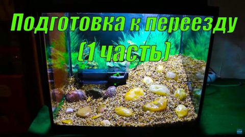 Разбираю все аквариумы на рыборазводне (1 часть)