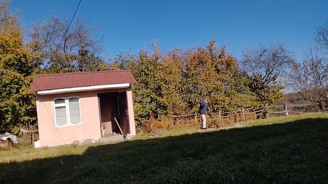 Сезон закрыт,а дача не отпускает!#дача#огород#осень#https://youtu.be/wXNN6TFcbVI смотреть онлайн