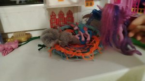 Приезд тёти луны и глимер