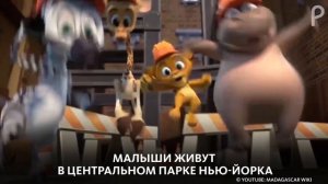МАДАГАСКАР: МАЛЕНЬКИЕ И ДИКИЕ