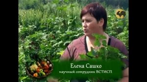 Сад и огород . Смородина черная и красная .