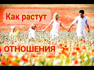 Как растут ОТНОШЕНИЯ.mp4