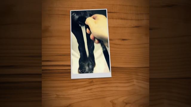 Уход для волос "Абсолютное счастье" от Lebel смотреть онлайн