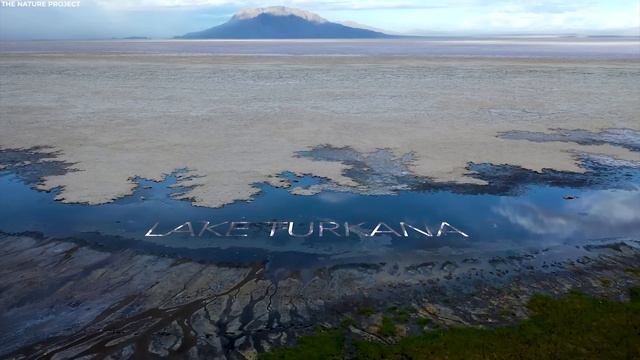 Nessuno Ci Avrebbe Creduto Se Non Fosse Stato Catturato Dal Drone смотреть онлайн