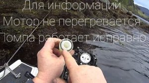 Расплавился фильтр MERCURY 30 EFI