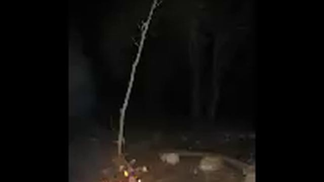 RUN Rabbit Run - Massive ( Psychedelic Trance ) смотреть онлайн