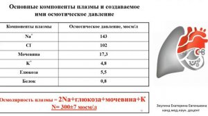 Н.с. и и.т. инфекционных заболеваний на догоспитальном этапе у взрослых. Зеулина Е.Е.