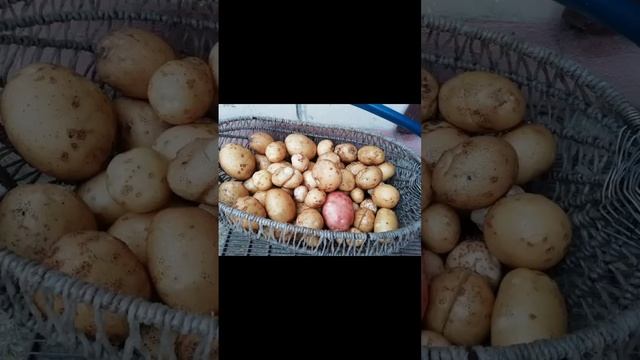 Красота и здоровье! ❤️❤️❤️❤️❤️????❤️????