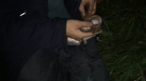 Ловля сомов на донку с подводным поплавком с берега на пучок выползков