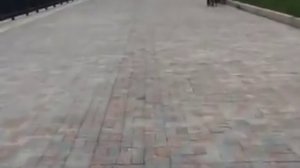 Нарушителя, проехавшегося по тротуару Набережной Волгограда, наказали