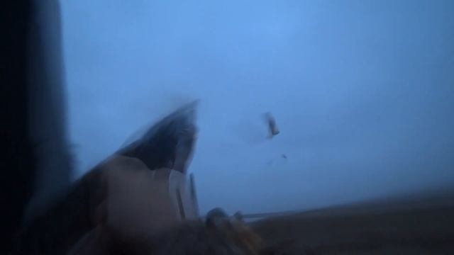 Охота на гуся 2021-22. Калмыкия 21 марта. Окольцованный. Песни о охоте смотреть онлайн