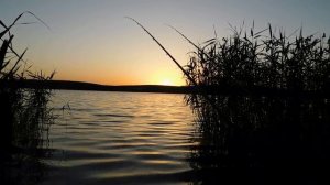 РЫБАЛКА С НОЧЕВКОЙ, Ловля леща и подлещика.