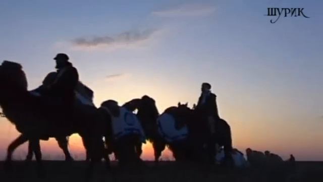 Бумер КАРАВАН.avi
