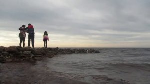 СПБ канонерский остров / коса канонерского острова