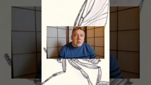 Укус мошки. Что делать?