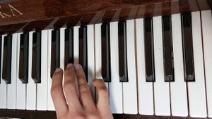 гамма Ми бемоль мажор 3 вида. Белоткач Елизавета 8кл.