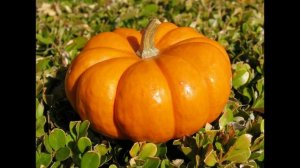 МОЛИТВА-ОБНУЛЕНИЕ ЛЖИВЫХ МАГИЧЕСКИХ ПРИМИРЕНИЙ #НаянаБелосвет