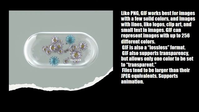 Image File Formats Explained - JPEG, PNG,GIF etc. смотреть онлайн