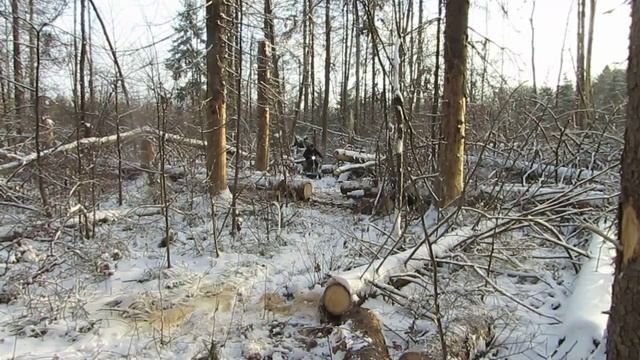 Покатушки по лесу на мотобуксировщике «Мухтар» смотреть онлайн