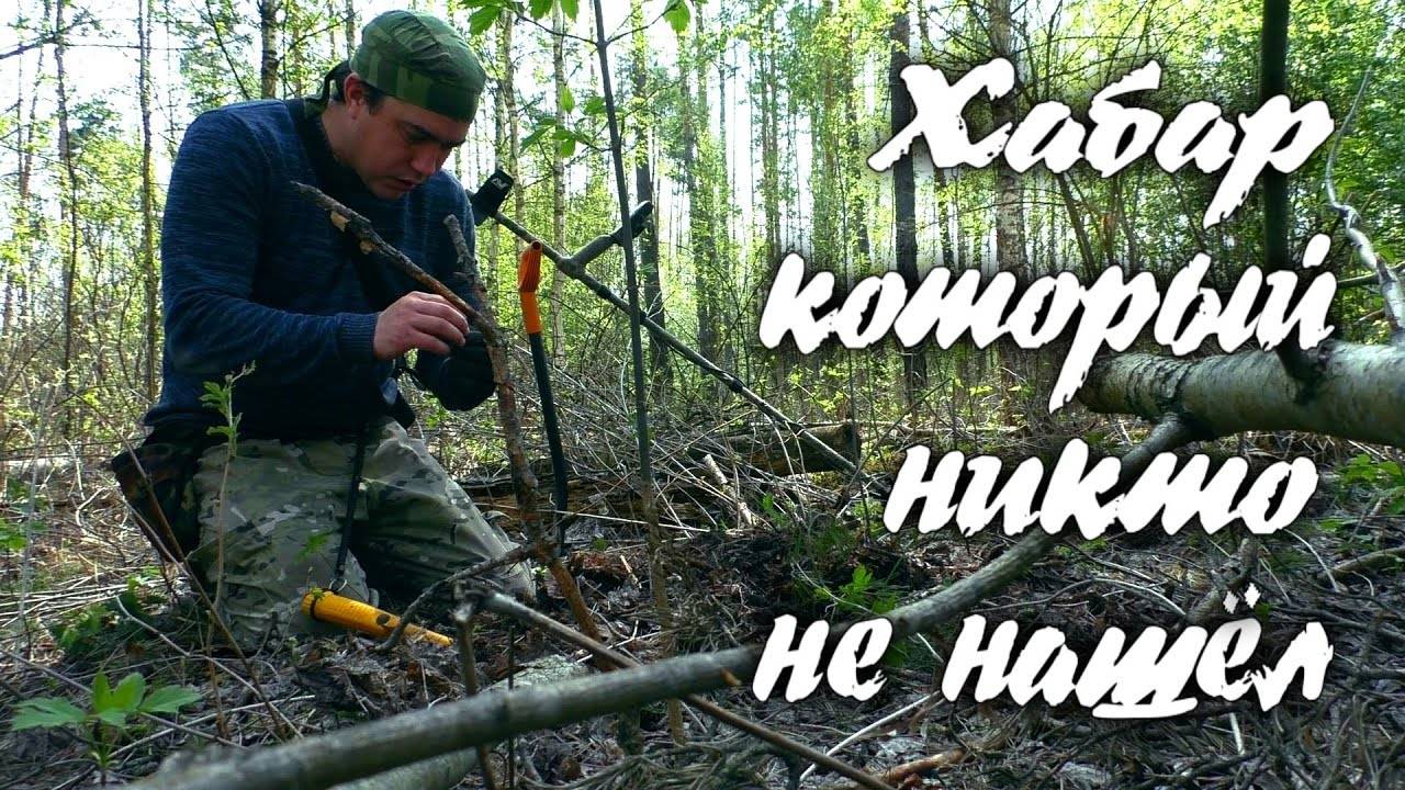 Что можно найти на лесной задворке_ смотреть онлайн