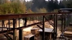 Александр Семчев - Лесной олень