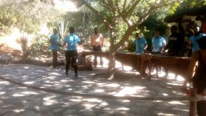 Зулусские танцы. Zoulou dances