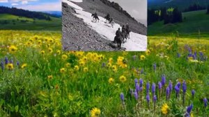 Джо Дассен -Песня геологов на французском языке