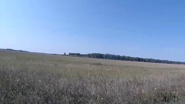 Омская область из окна машины (август) ч.1_Omsk region from the car window (August) part 1