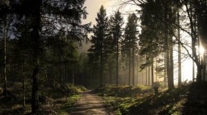 Я помню чудное мгновенье 1 час | А.С. Пушкин |