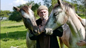 Реакция Лошадей на дудук/обертональное пение Alizbar & Happy Horses /Duduk Overtone singing  Cyprus