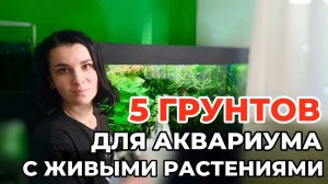 Грунты для аквариума с живыми растениями