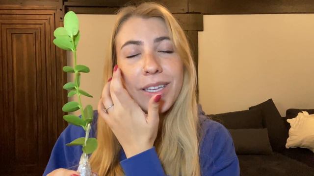 The most SHOCKING houseplant import | Importing six RARE plants from Indonesia