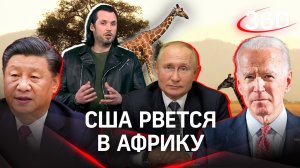 «БИТВА ЗА АФРИКУ»: Чем притягивает черный континент мировых инвесторов?