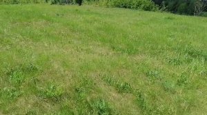 Металлокоп2022... снова одна мелочуга.