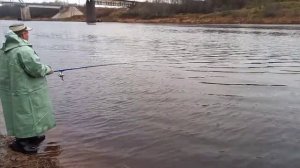 Рыбалка в гостях у друга на реке Сясь.