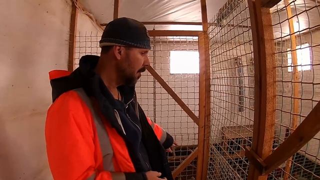 Чуфа и прочие новости \\ В деревню! смотреть онлайн