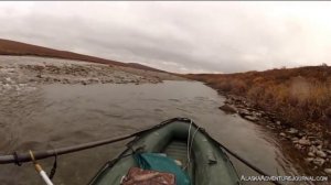 Lupine River 2012 In An Alaskan Jet Ranger