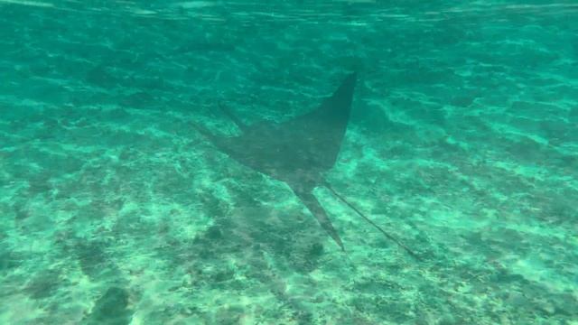 Malediven Urlaub 4k UHD HDR10+ Dolby Vision смотреть онлайн