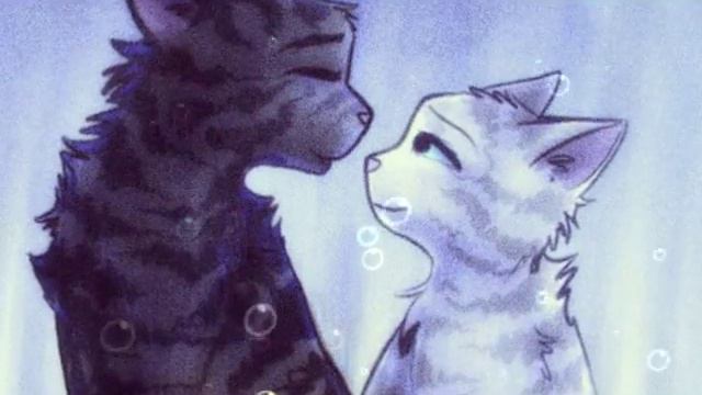 Коты - воители Серебрянка и Крутобок