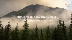 Очень красивое чтение суры аль-'Аляк العلق (Сгусток крови) Омар Хишам аль-Араби